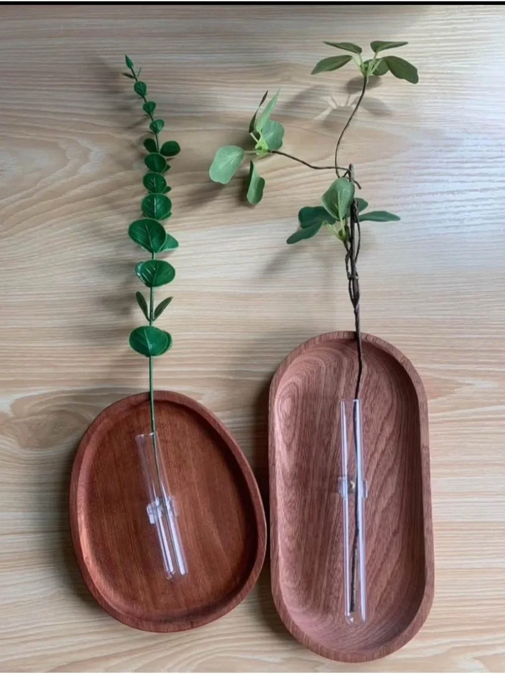 7-Piece Wooden Oval Wall Vase Set with Glass Tubes – Brown